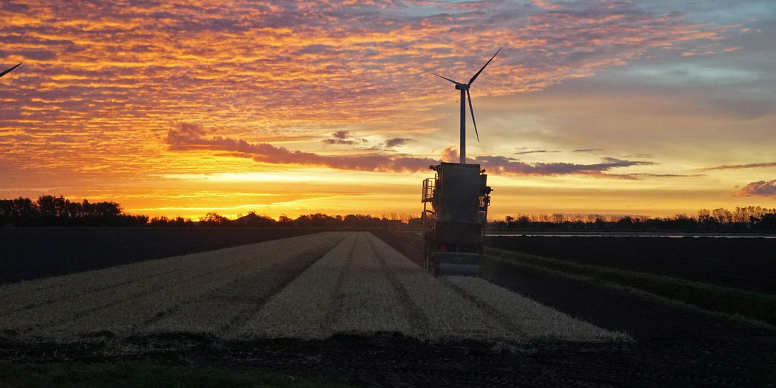 Was geschieht im Poldergebiet?