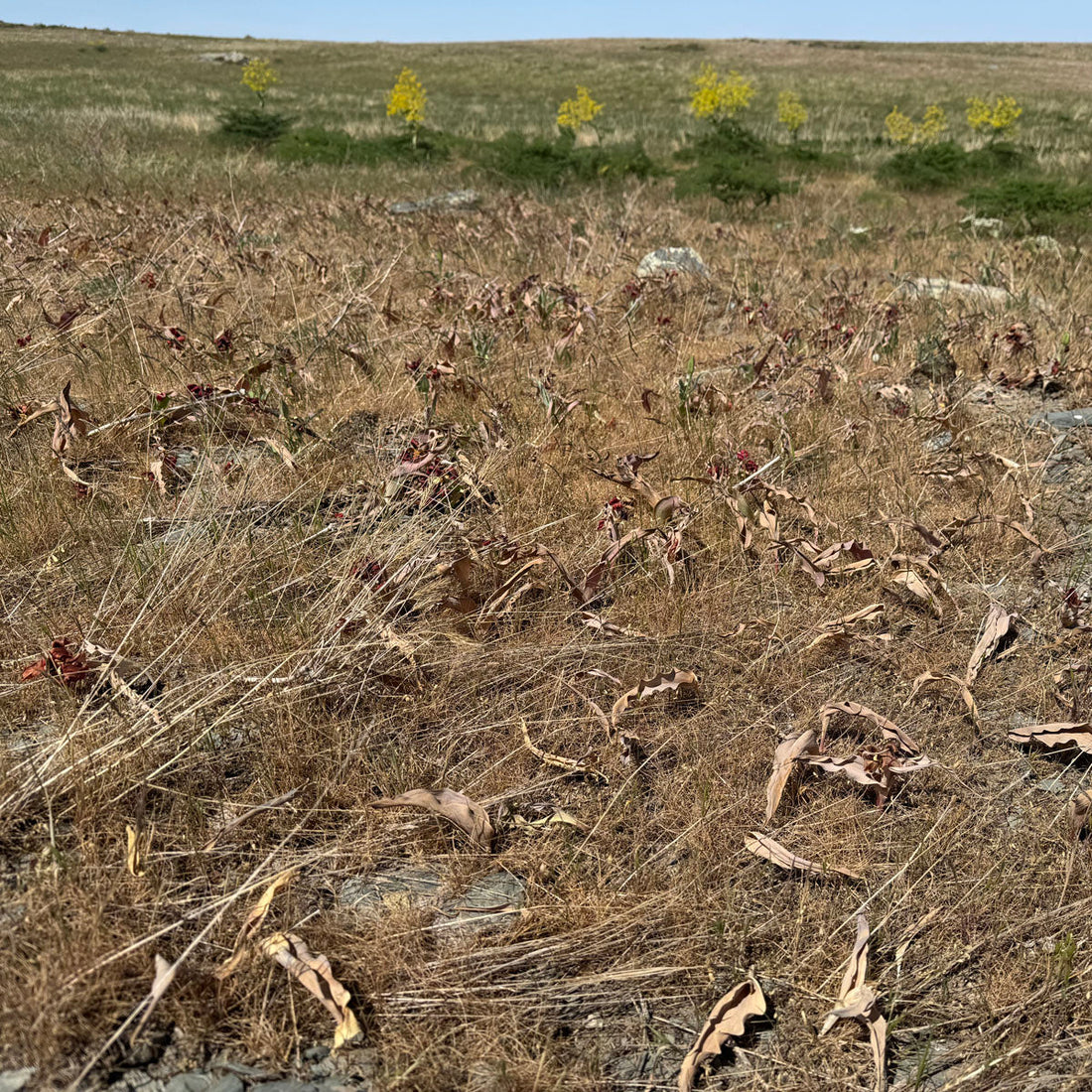 Über eine Woche zu spät
