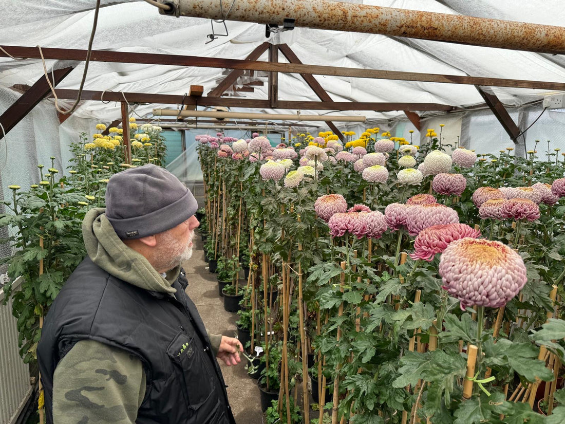 Das weiß ich jetzt mit Sicherheit