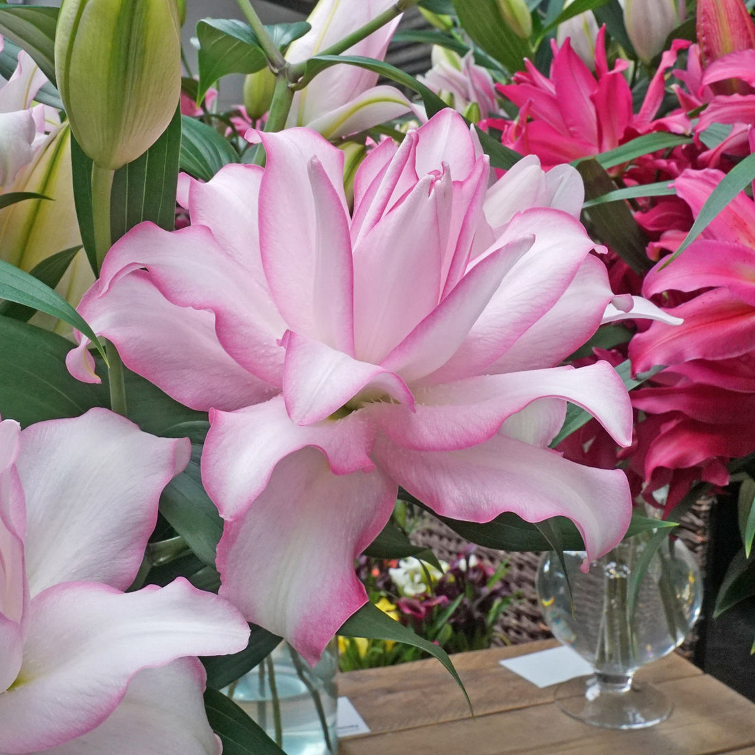 Der Verkauf von Lilienzwiebeln ist gestartet!