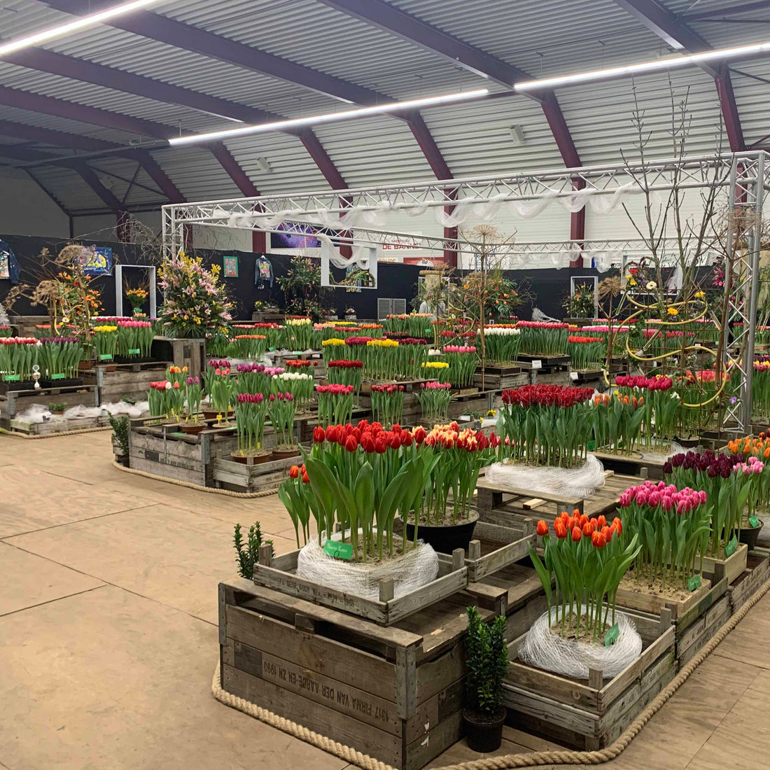 Was für ein Aufwand!