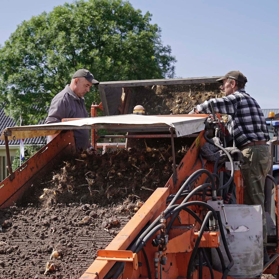 Die Ernte hat wieder begonnen