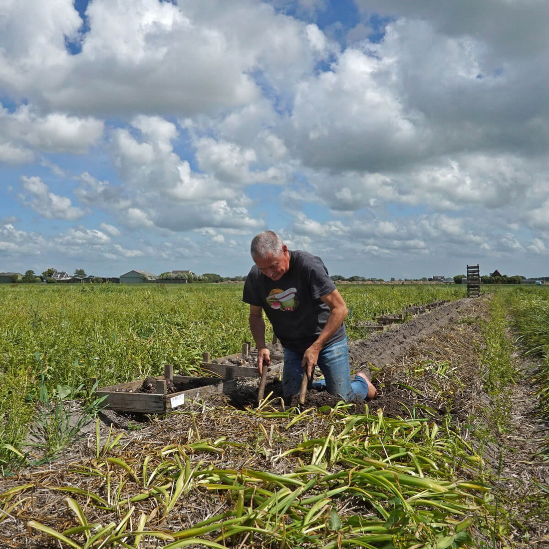 Letzter Aufruf für den Süßigkeitenladen