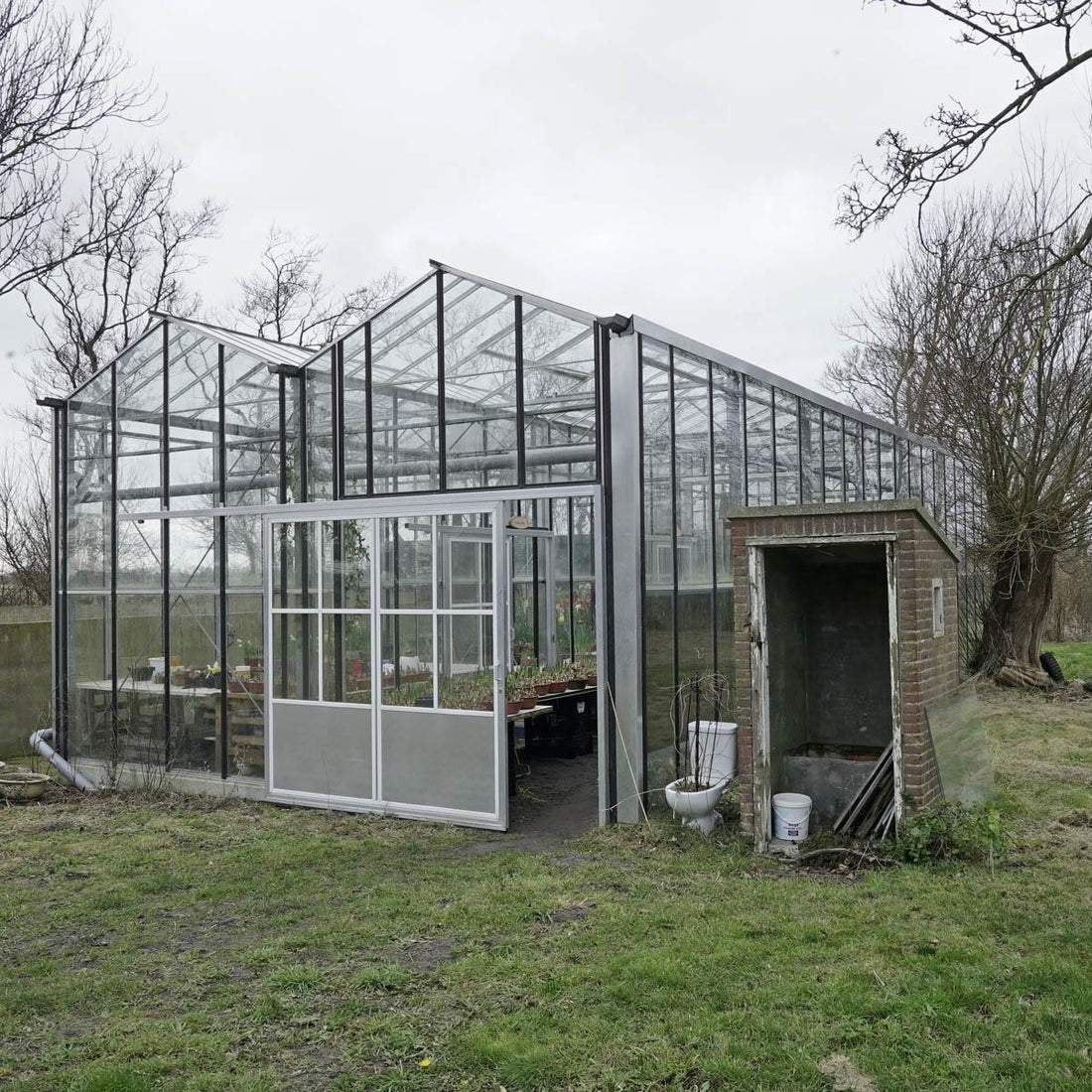 Das Gewächshaus