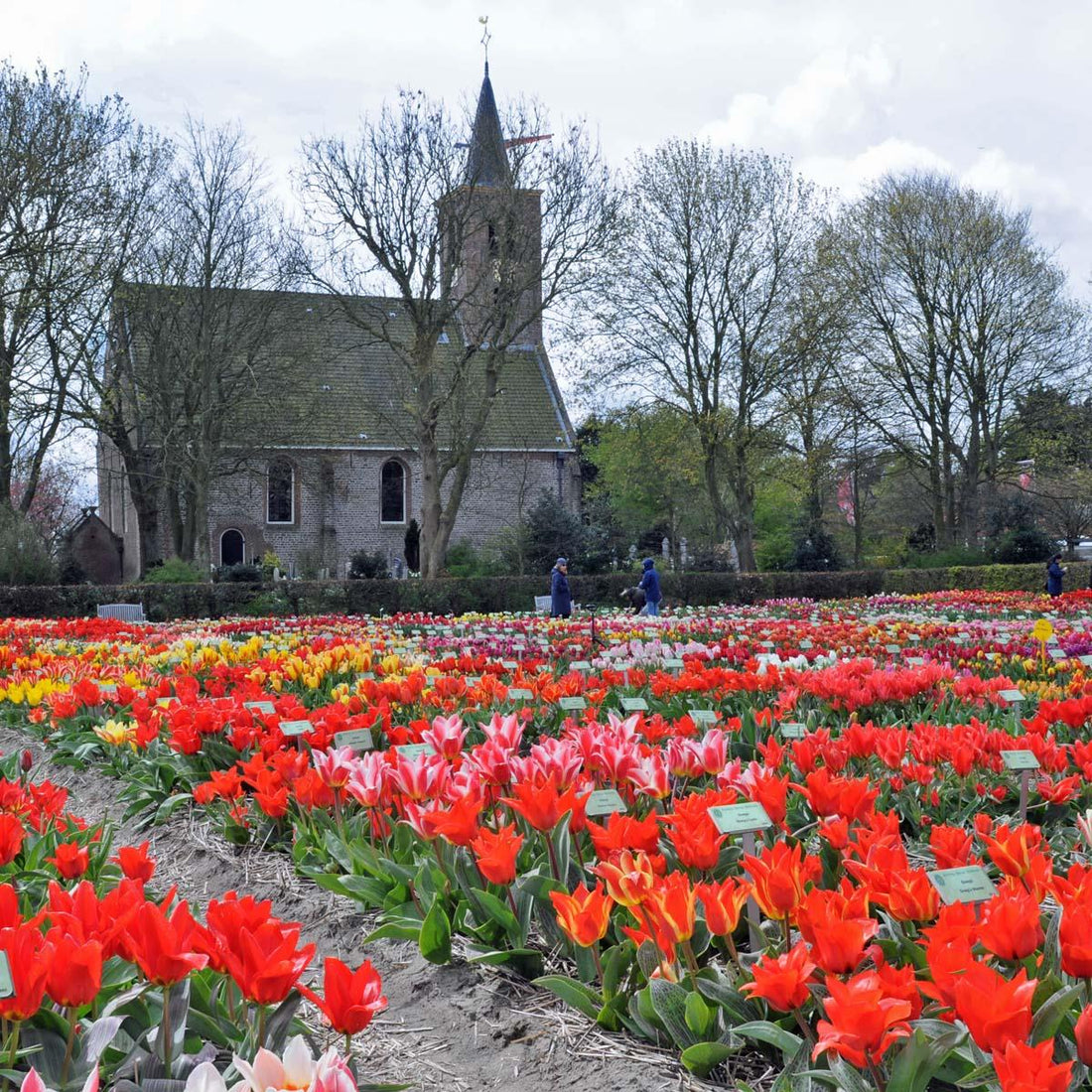 Immer noch fit und noch lange kein Fall fürs Altersheim
