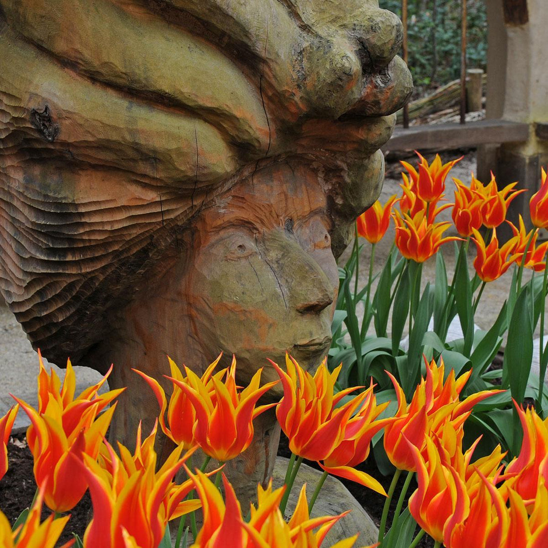 Spannende Neuigkeiten!