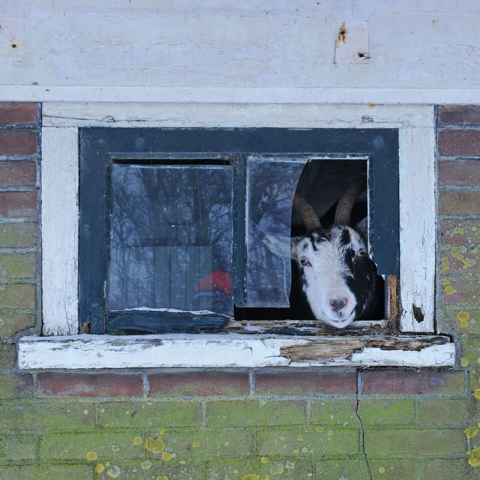 Viel Freude beim Anschauen