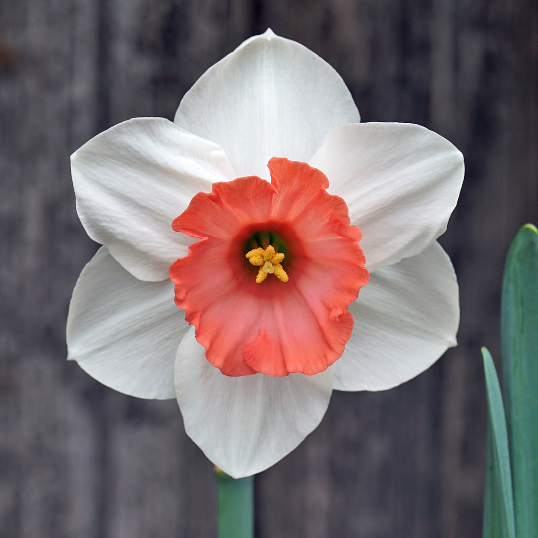 Mittwoch ist Waschtag