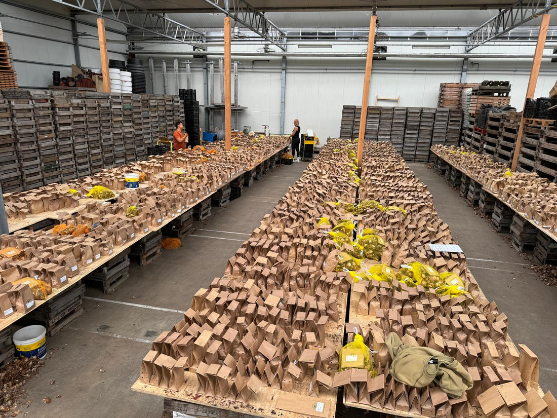 Sommerurlaub… oder nicht?