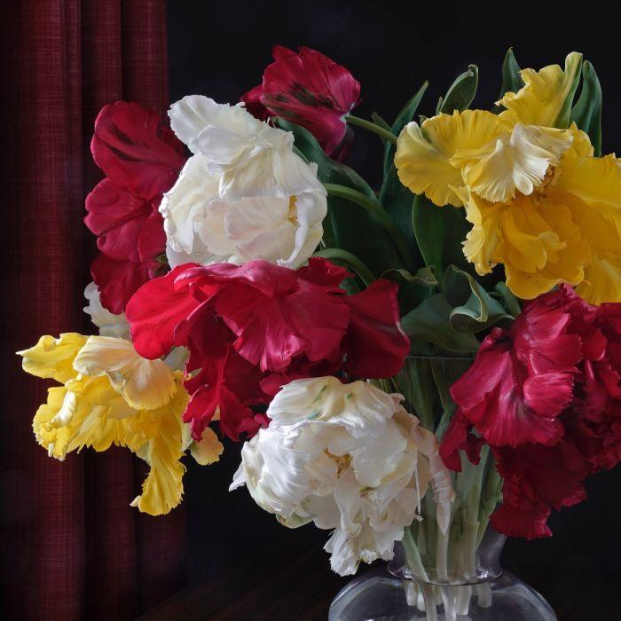 “Es kommt immer anders als man denkt”