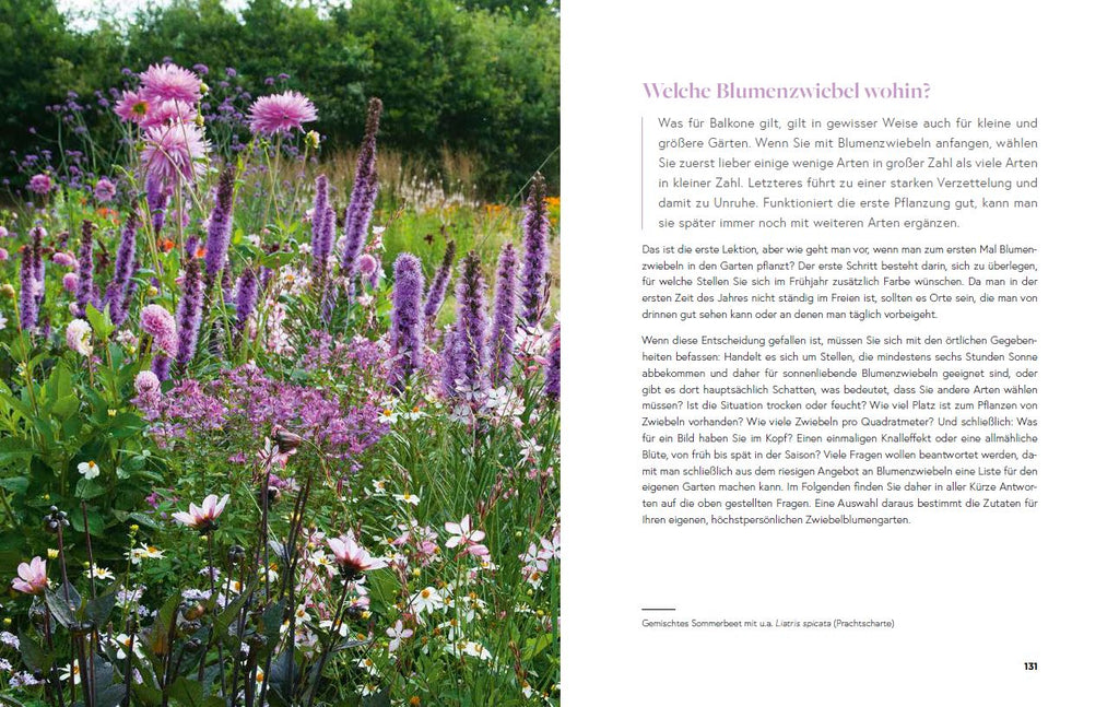 Zwiebel-Bibel, Zaubern mit Blumenzwiebeln