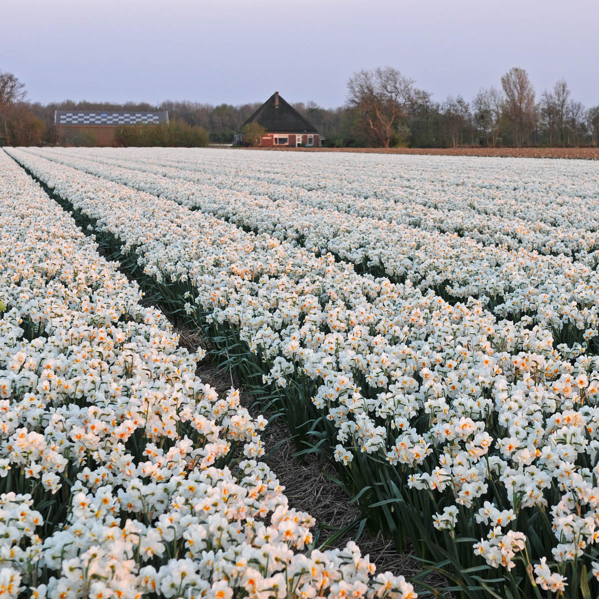 Sir Winston Churchill